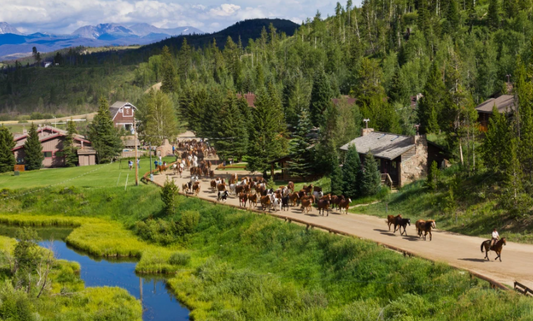 Escape the Altitude. Unwind and Recharge at C Lazy U Ranch